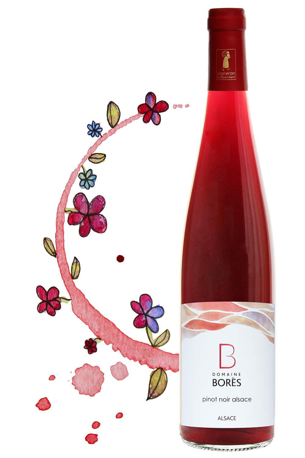 Pinot_Noir Alsace_Dessin3 Pinot Noir Alsace 2023 – Image 1