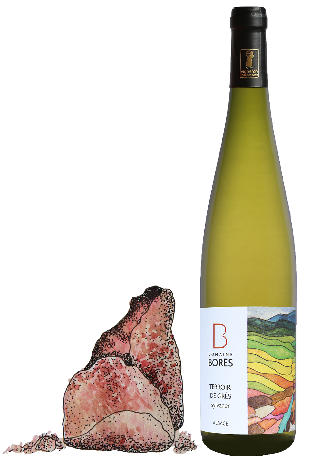 Sylvaner Terroir de Grès Vieilles Vignes_Dessin3 Sylvaner Terroir de Grès vieilles vignes 2019 – Image 1