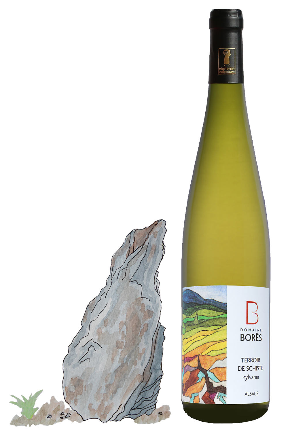 Sylvaner Terroir de Schiste_Dessin Sylvaner Terroir de Schiste 2022 – Image 1